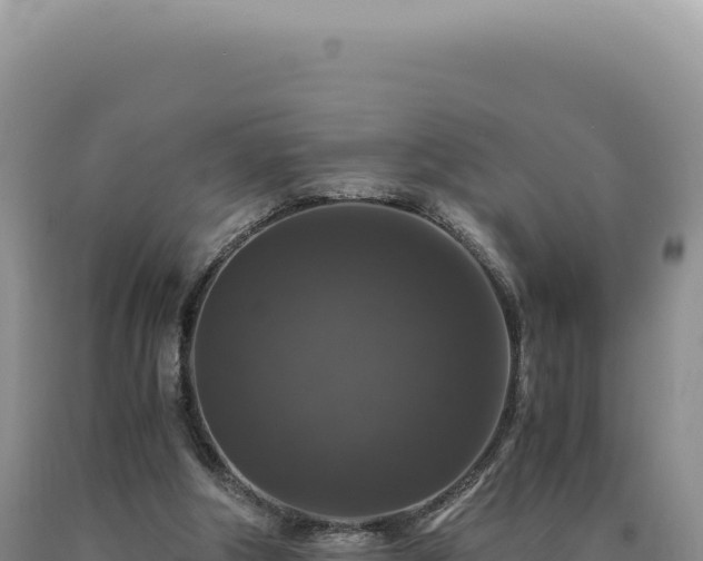 X0000090760202200707271513