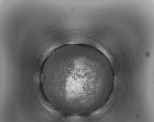 X0000090760203200707271513