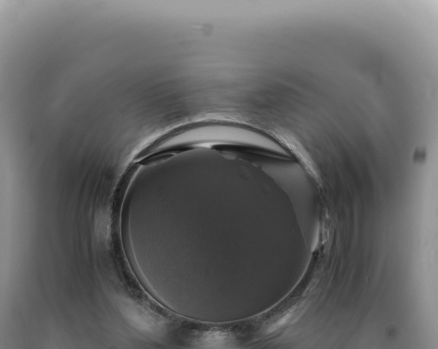 X0000090760204200707271513