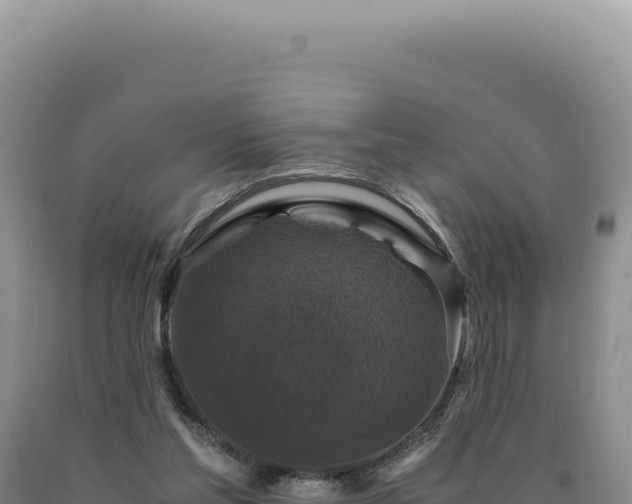 X0000090760205200707271513