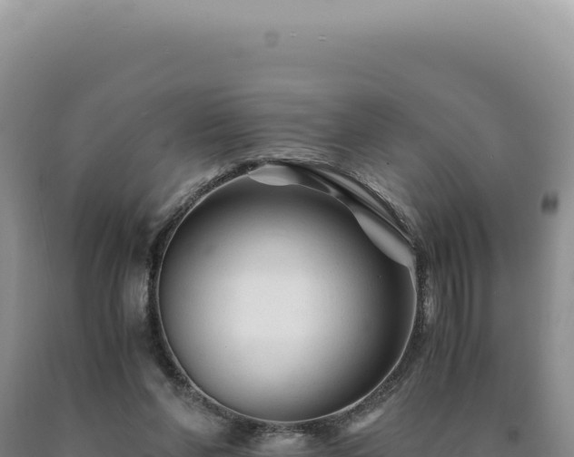 X0000090760206200707271513