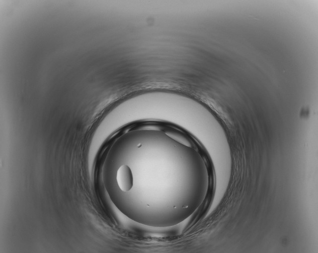 X0000090760207200707271513