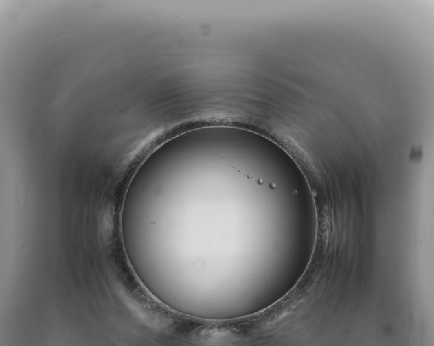 X0000090760208200707271513