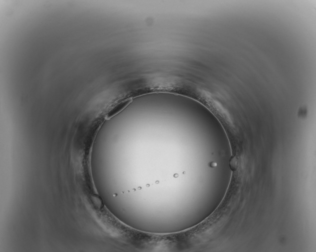 X0000090760209200707271513