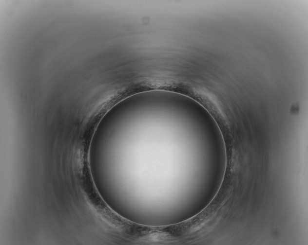 X0000090760210200707271513