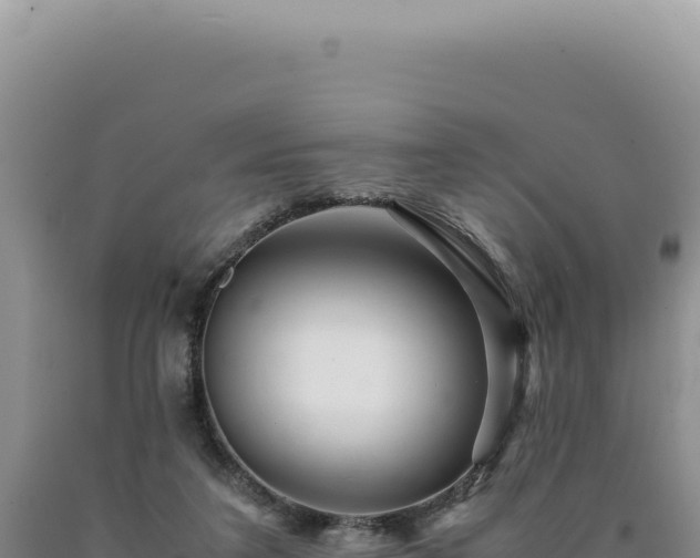 X0000090760211200707271513