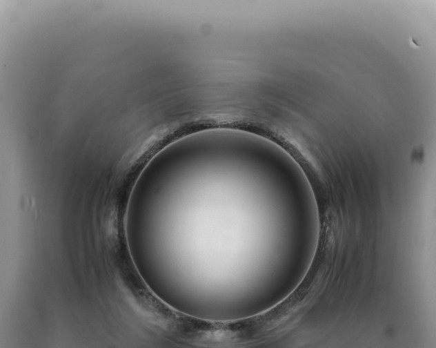 X0000090760212200707271513