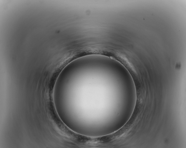 X0000090760213200707271513