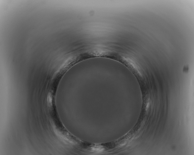 X0000090760214200707271513