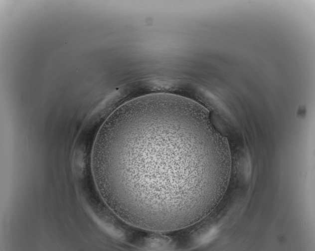 X0000090760215200707271513