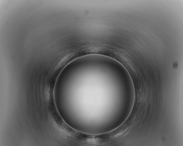 X0000090760216200707271513