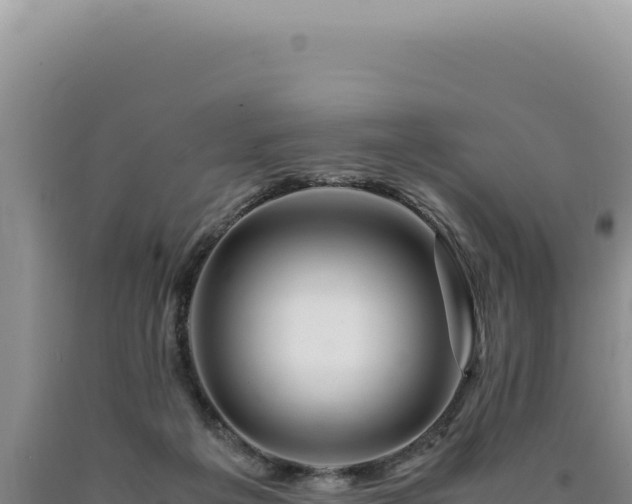 X0000090760217200707271513