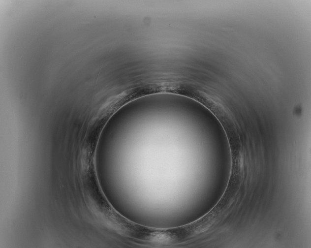 X0000090760218200707271513