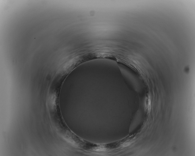 X0000090760219200707271513