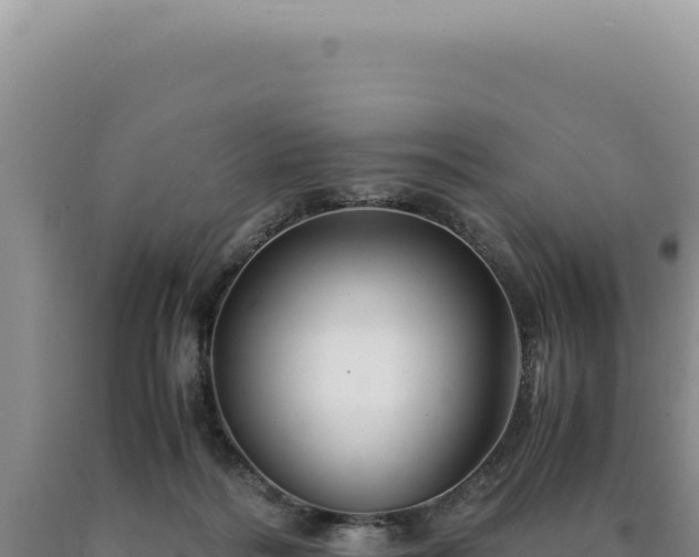 X0000090760220200707271513