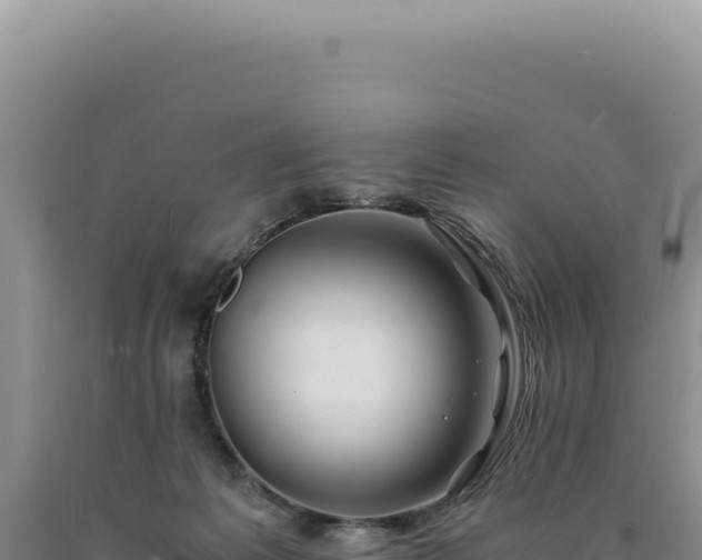 X0000090760221200707271513