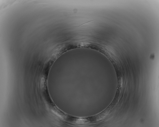 X0000090760222200707271513