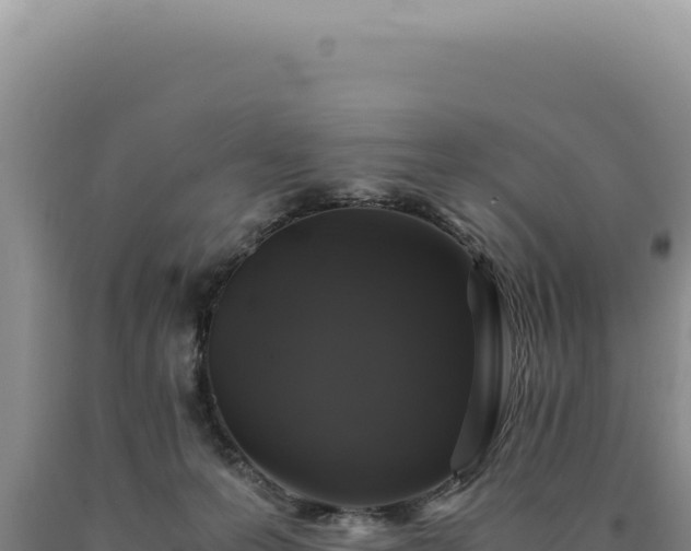 X0000090760223200707271513