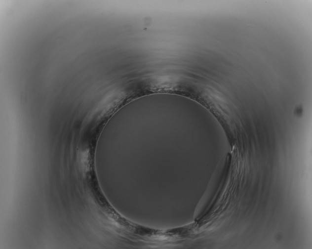 X0000090760224200707271513