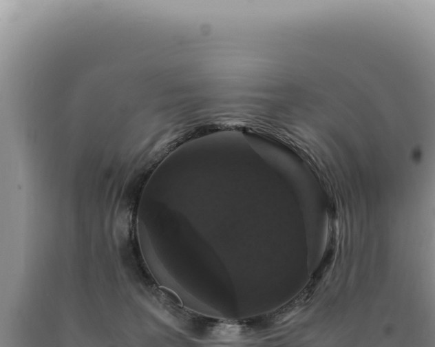 X0000090760227200707271513