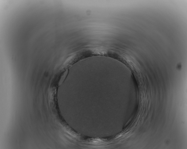 X0000090760229200707271513