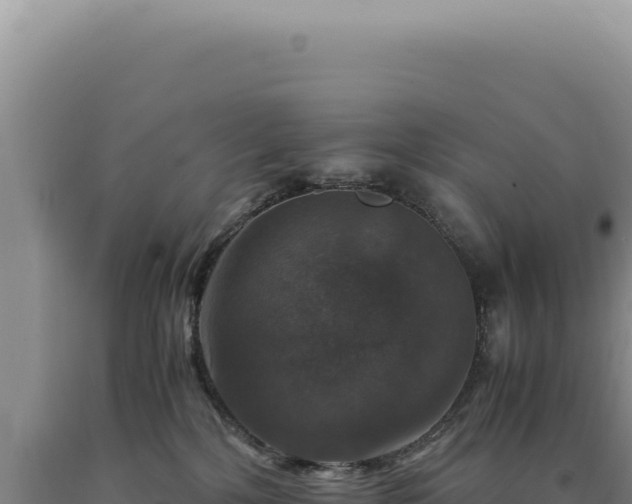 X0000090760232200707271513