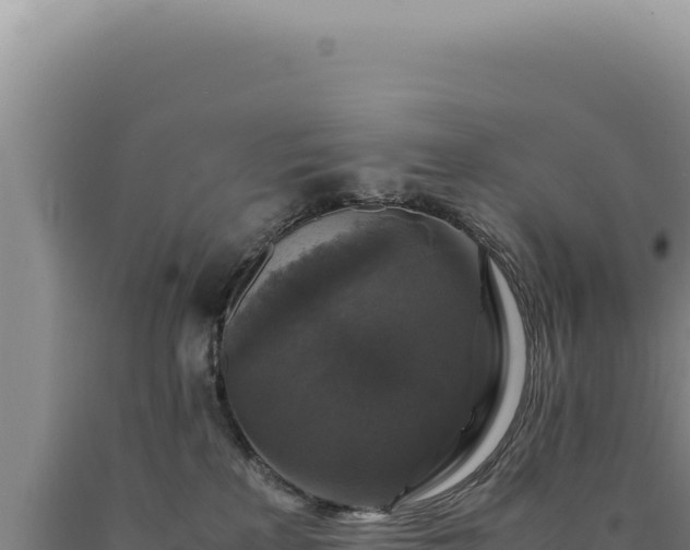 X0000090760233200707271513