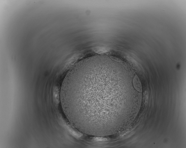 X0000090760234200707271513