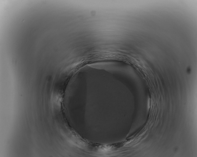 X0000090760235200707271512