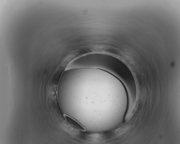 X0000090760237200707271512