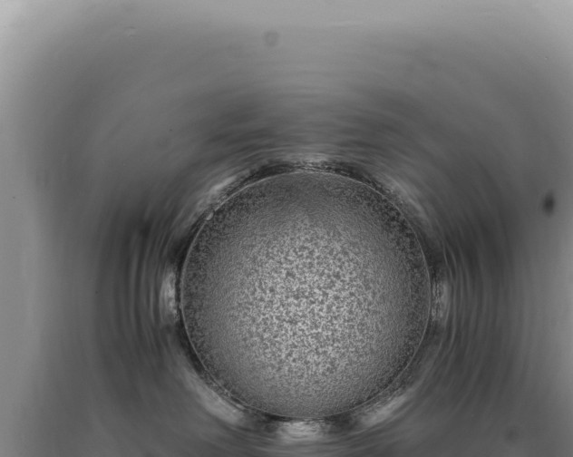 X0000090760238200707271512