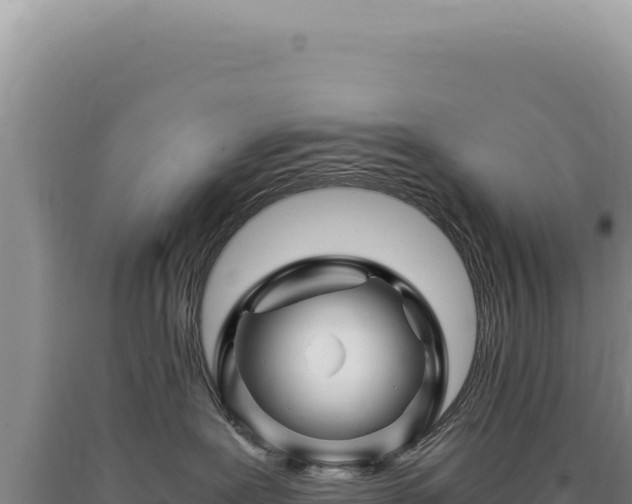 X0000090760239200707271512