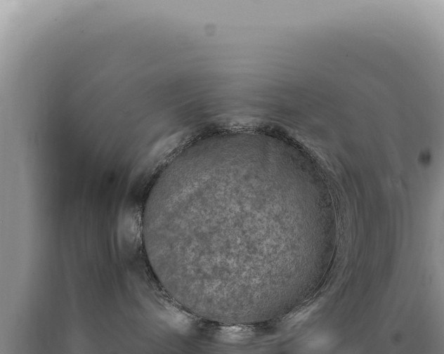 X0000090760240200707271512