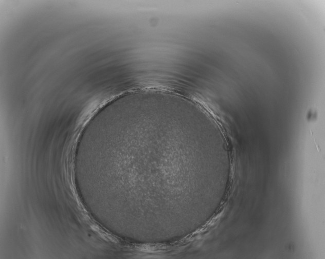 X0000090760241200707271512