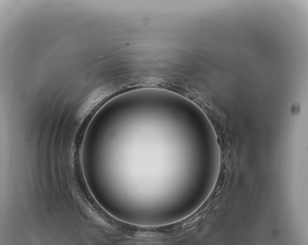 X0000090760242200707271512