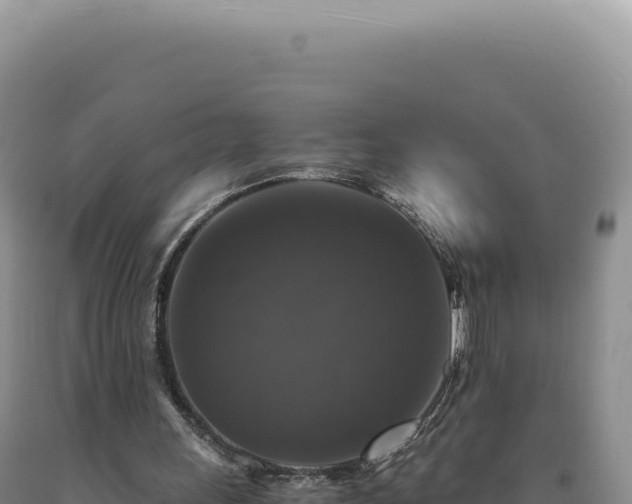 X0000090760243200707271512