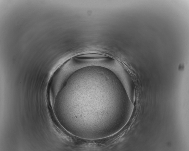 X0000090760244200707271512