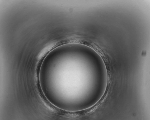 X0000090760245200707271512