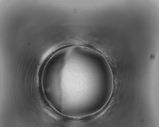 X0000090760246200707271512