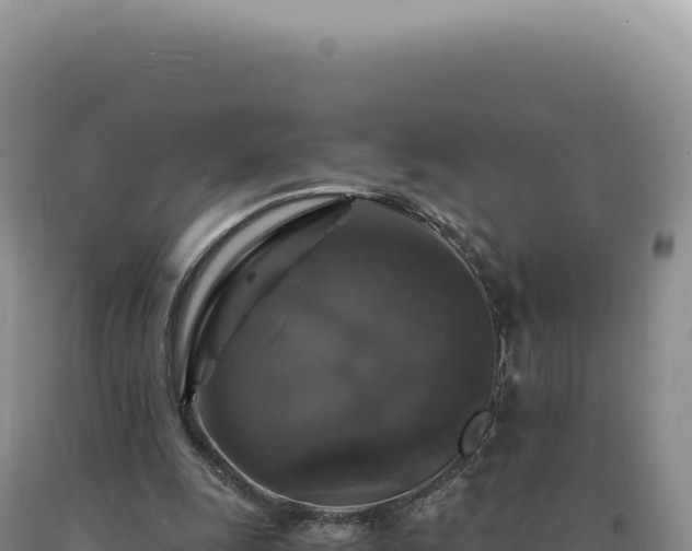 X0000090760247200707271512