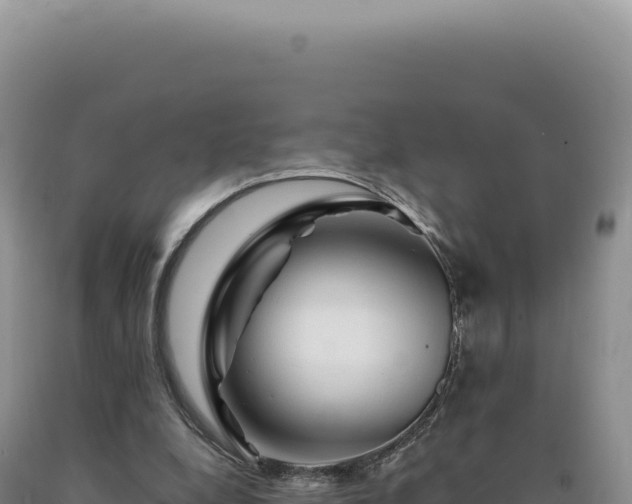 X0000090760248200707271512