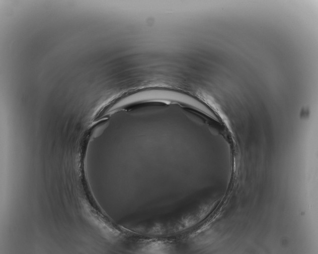 X0000090760249200707271512