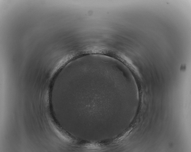 X0000090760250200707271512