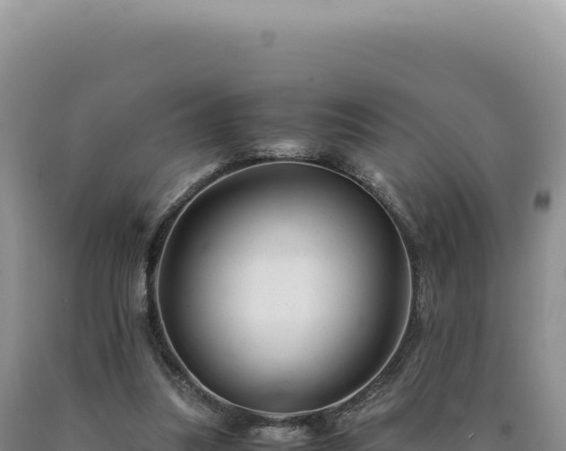 X0000090760251200707271512