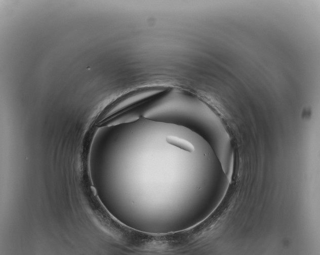 X0000090760252200707271512