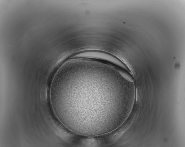 X0000090760253200707271512