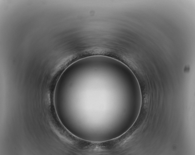 X0000090760254200707271512