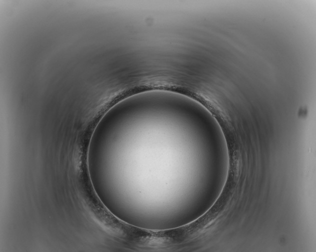 X0000090760255200707271512