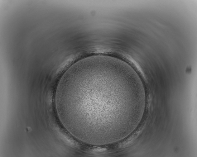 X0000090760257200707271512