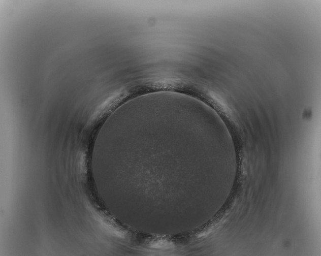 X0000090760258200707271512